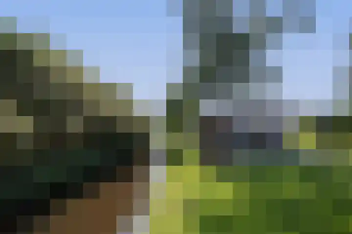 Noordeinde 18 B Aarlanderveen thumbnail 37