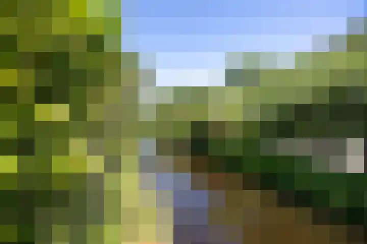 Noordeinde 18 B Aarlanderveen thumbnail 38