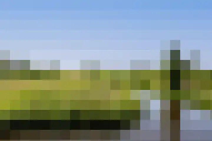 Noordeinde 18 B Aarlanderveen thumbnail 39
