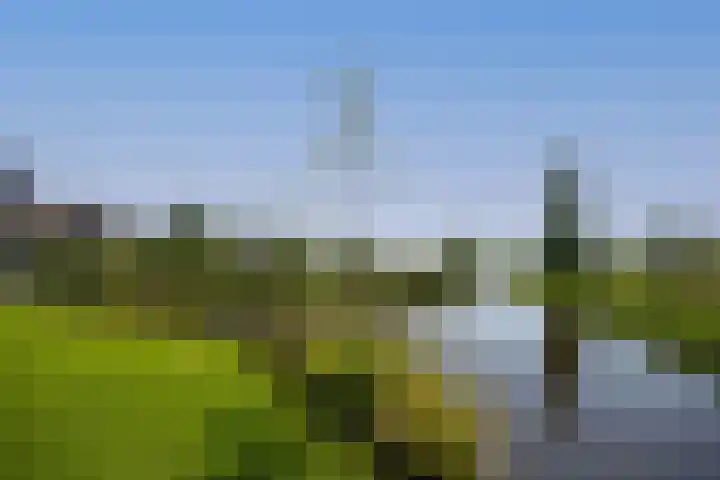 Noordeinde 18 B Aarlanderveen thumbnail 40