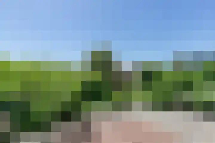 Noordeinde 189 A10 Roelofarendsveen thumbnail 13