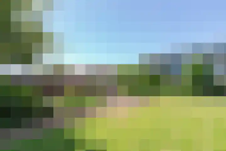 Noordeinde 189 A10 Roelofarendsveen thumbnail 14