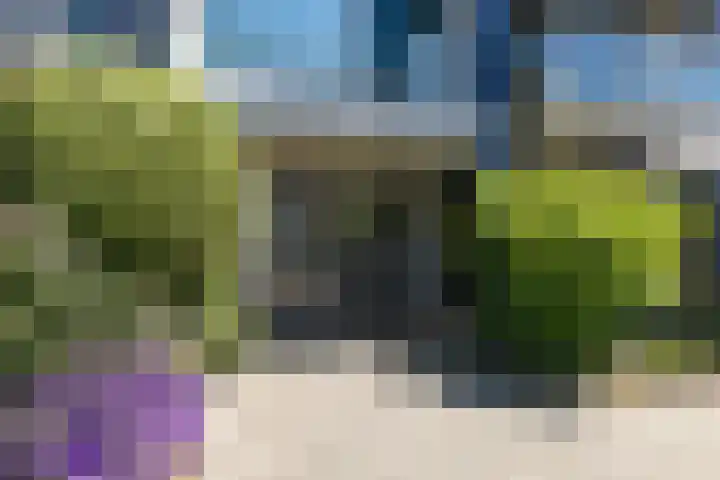 Noordeinde 189 A10 Roelofarendsveen thumbnail 20