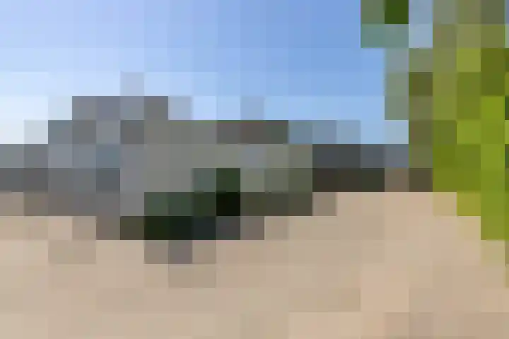 Noordeinde 189 A10 Roelofarendsveen thumbnail 23