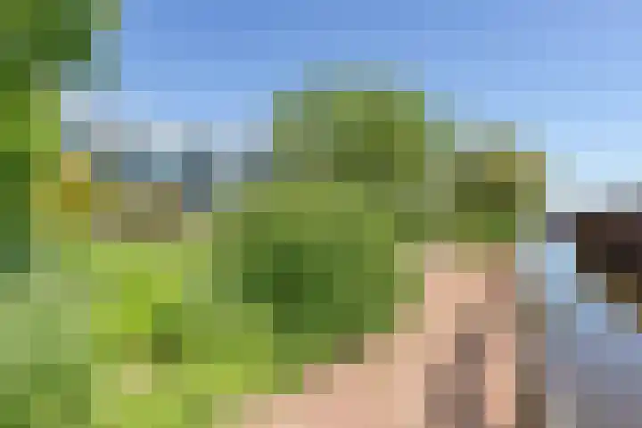 Noordeinde 189 A10 Roelofarendsveen thumbnail 25
