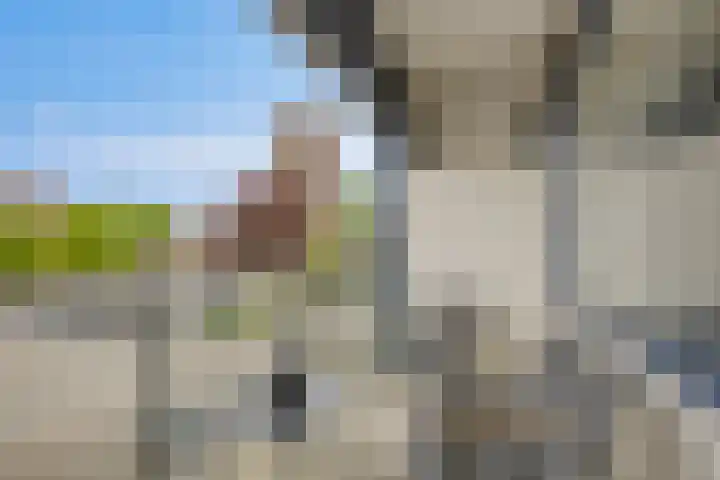 Noordeinde 189 B5 Roelofarendsveen thumbnail 13