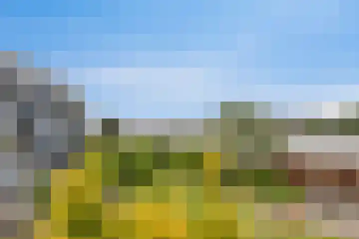 Noordeinde 189 B5 Roelofarendsveen thumbnail 16