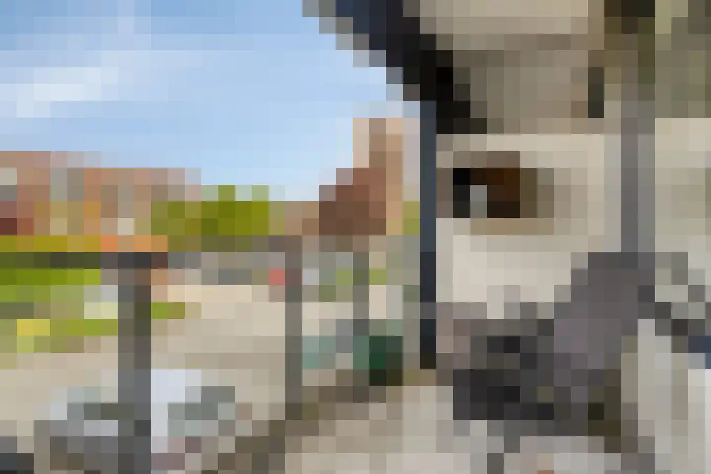 Noordeinde 189 B6 Roelofarendsveen thumbnail 10
