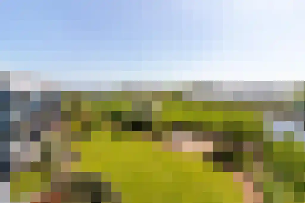 Noordeinde 189 C3 Roelofarendsveen thumbnail 15
