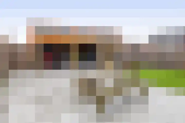 Noordeinde 19 Julianadorp thumbnail 13