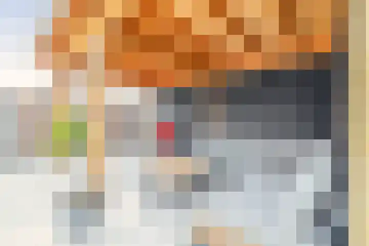 Noordeinde 19 Julianadorp thumbnail 15
