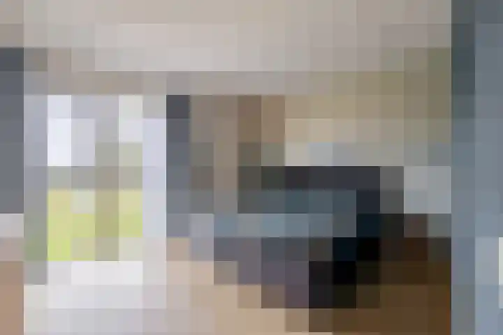 Noordeinde 19 Julianadorp thumbnail 18