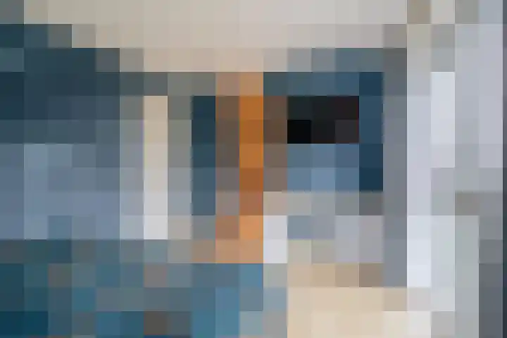 Noordeinde 19 Julianadorp thumbnail 19