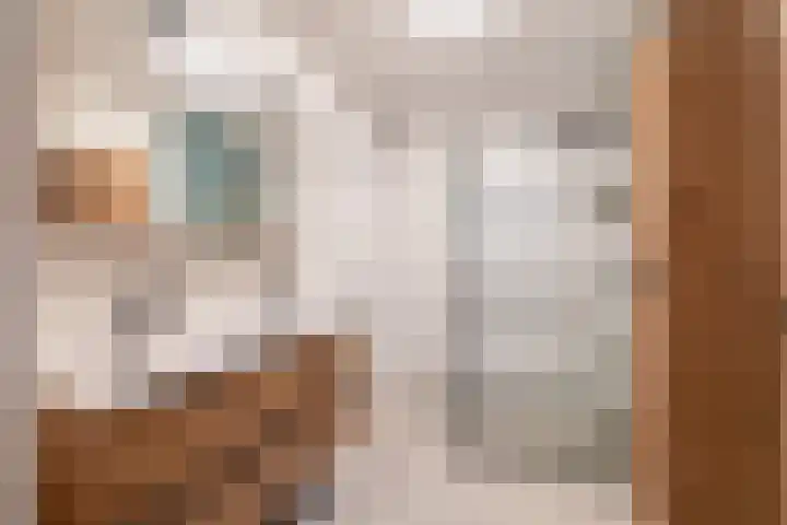 Noordeinde 19 Julianadorp thumbnail 22