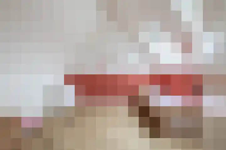 Noordeinde 19 Julianadorp thumbnail 26