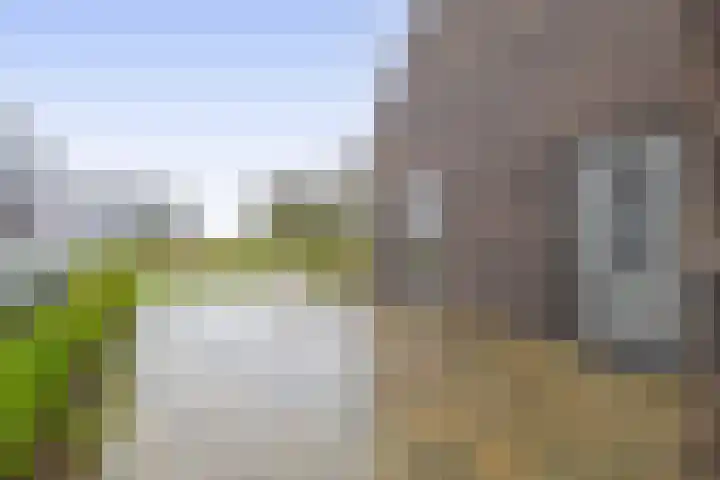 Noordeinde 19 Julianadorp thumbnail 29