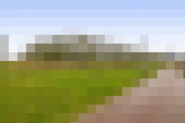 Noordeinde 19 Julianadorp thumbnail 30