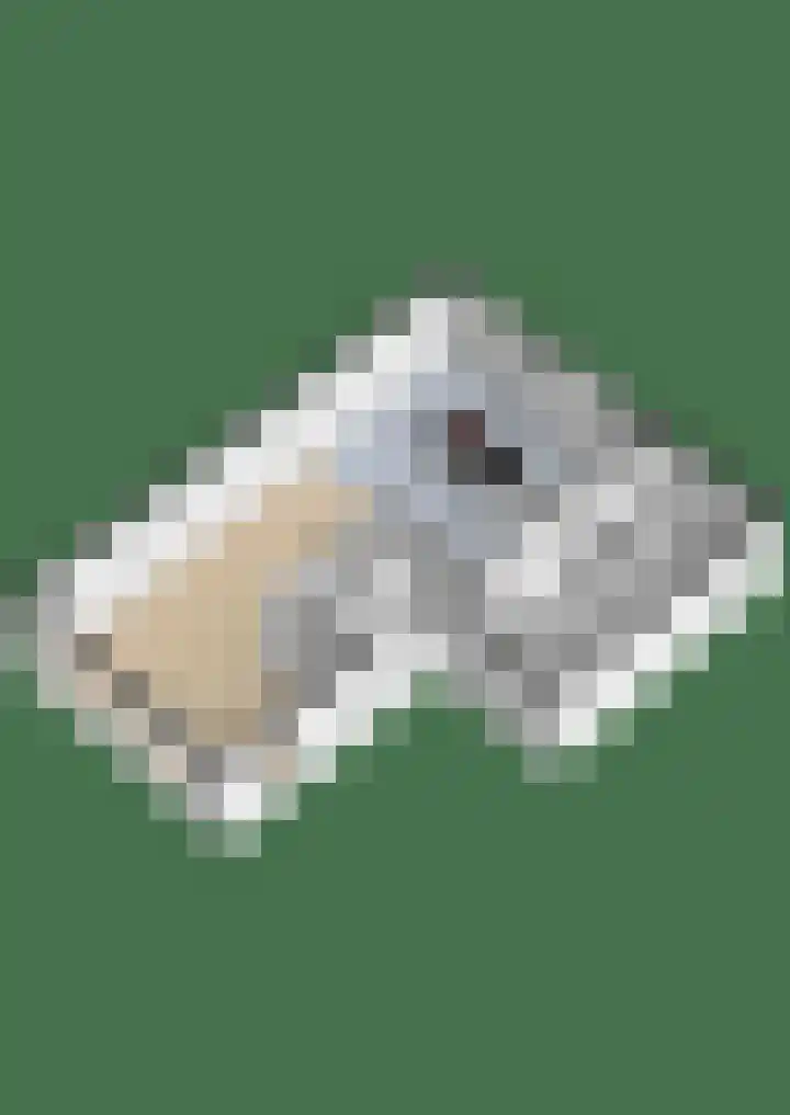 Noordeinde 19 Julianadorp thumbnail 32