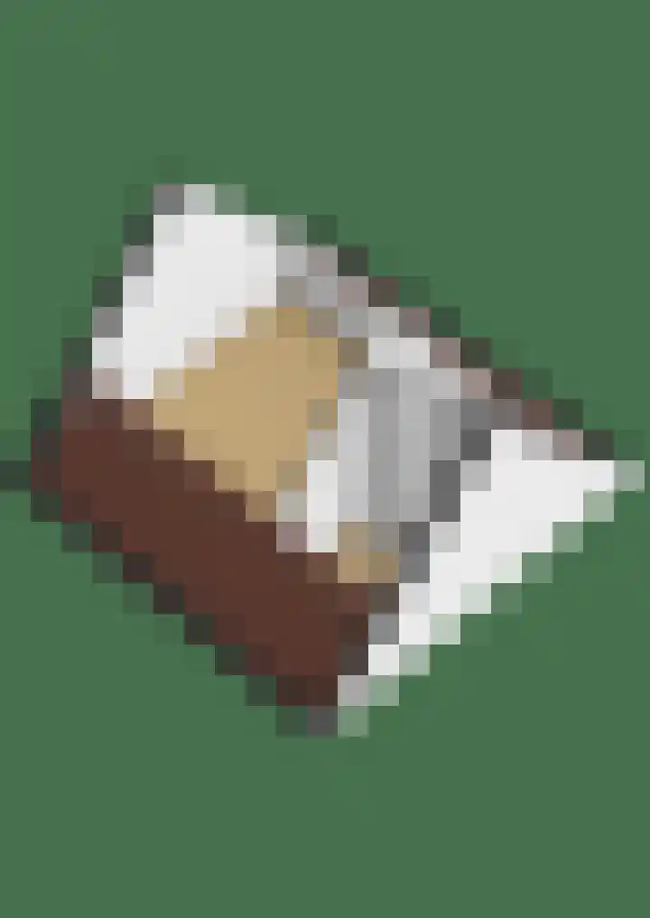 Noordeinde 19 Julianadorp thumbnail 36
