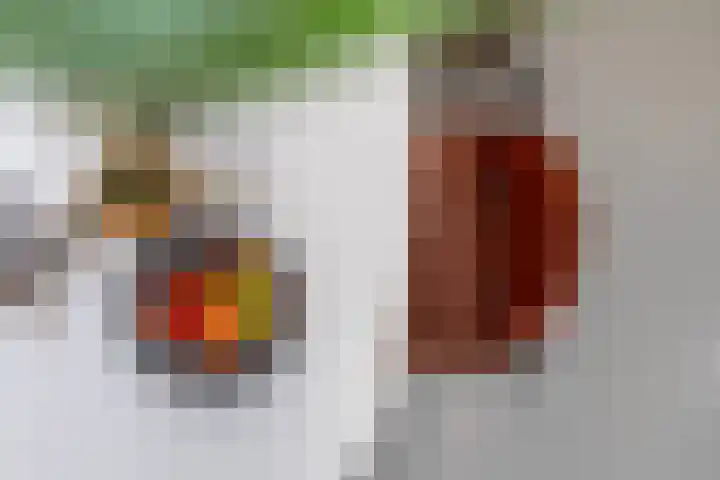 Noordeinde 19 Rotterdam thumbnail 10