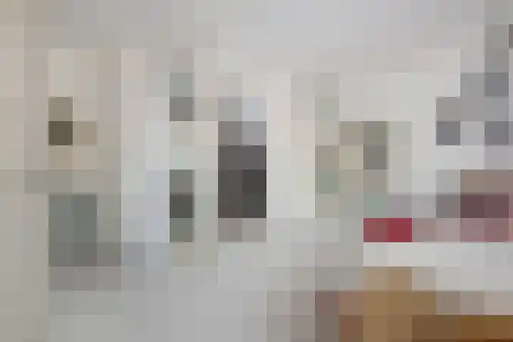 Noordeinde 19 Rotterdam thumbnail 22