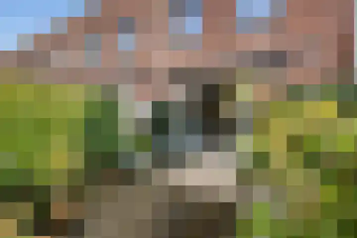 Noordeinde 19 Rotterdam thumbnail 30