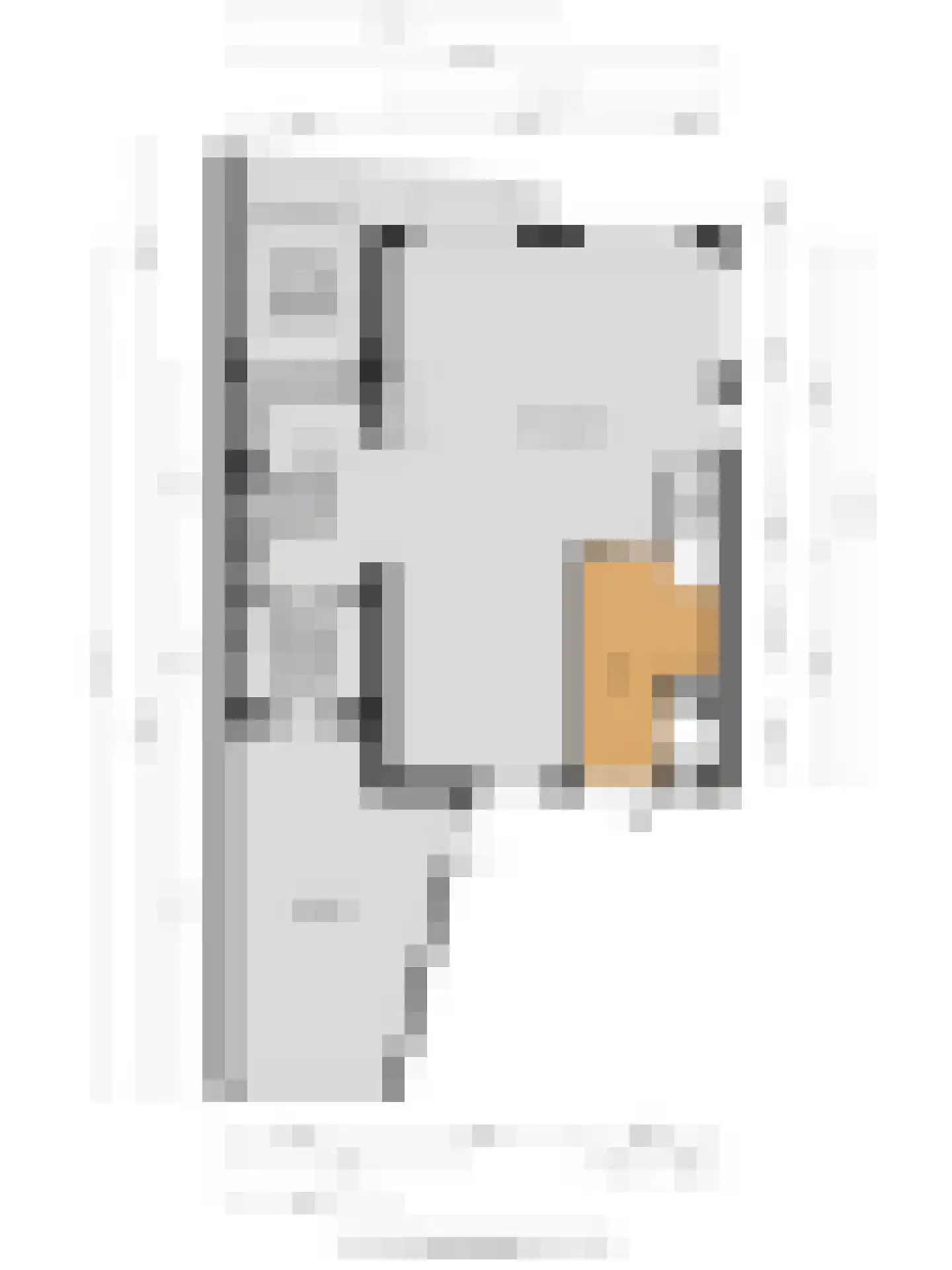 Noordeinde 191 Roelofarendsveen thumbnail 23