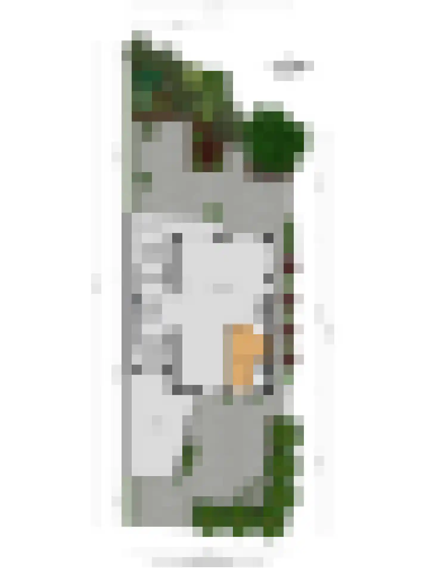 Noordeinde 191 Roelofarendsveen thumbnail 24