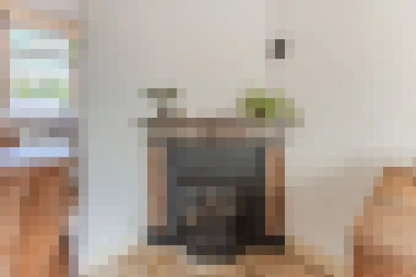 Noordeinde 193 Boskoop thumbnail 10