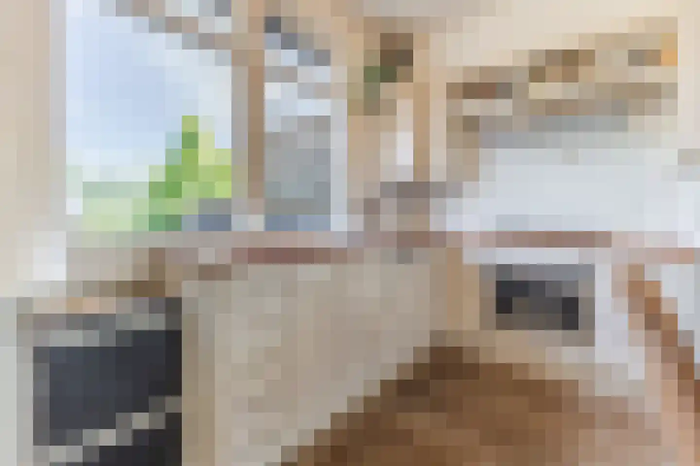 Noordeinde 193 Boskoop thumbnail 12