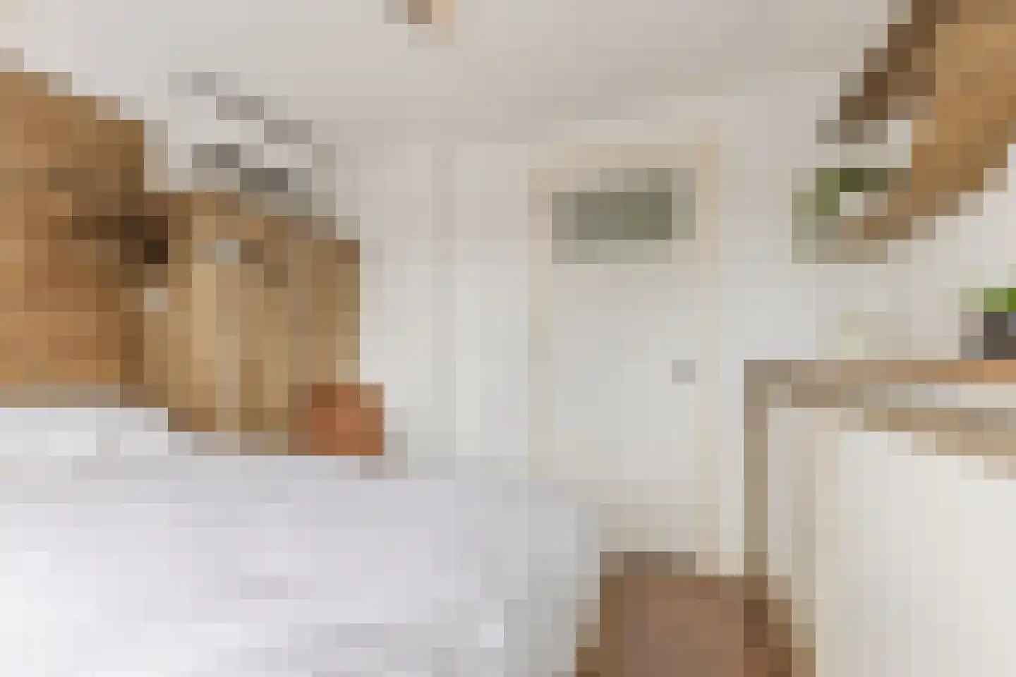 Noordeinde 193 Boskoop thumbnail 21