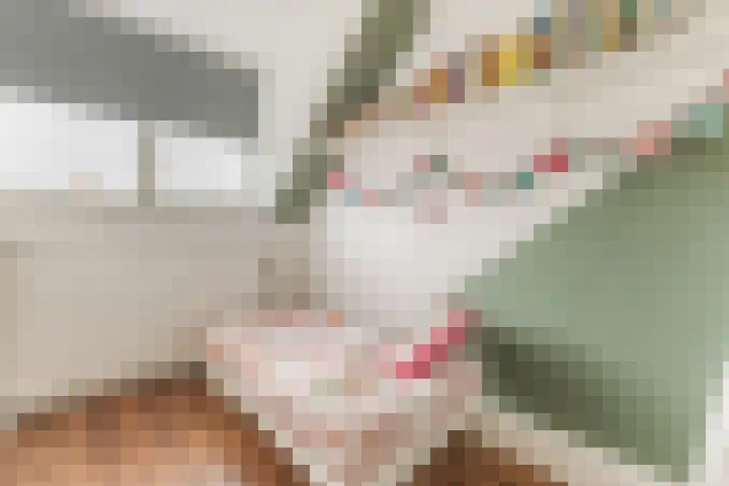 Noordeinde 193 Boskoop thumbnail 23