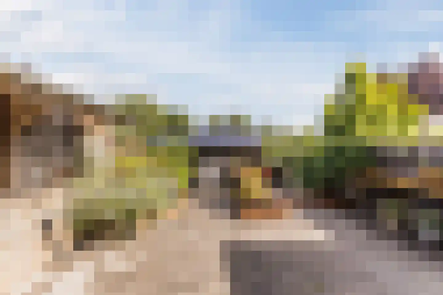 Noordeinde 193 Boskoop thumbnail 30