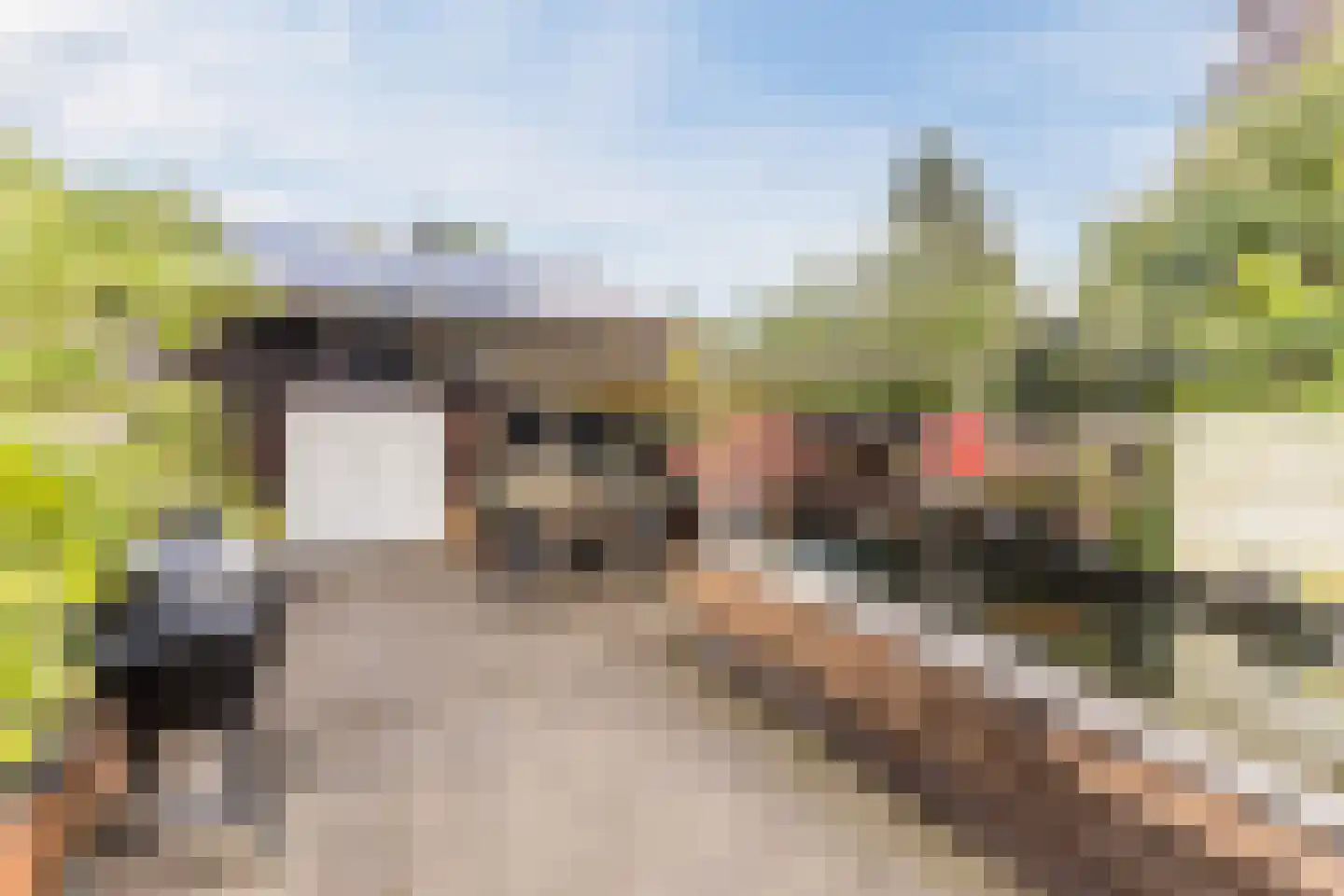 Noordeinde 193 Boskoop thumbnail 32