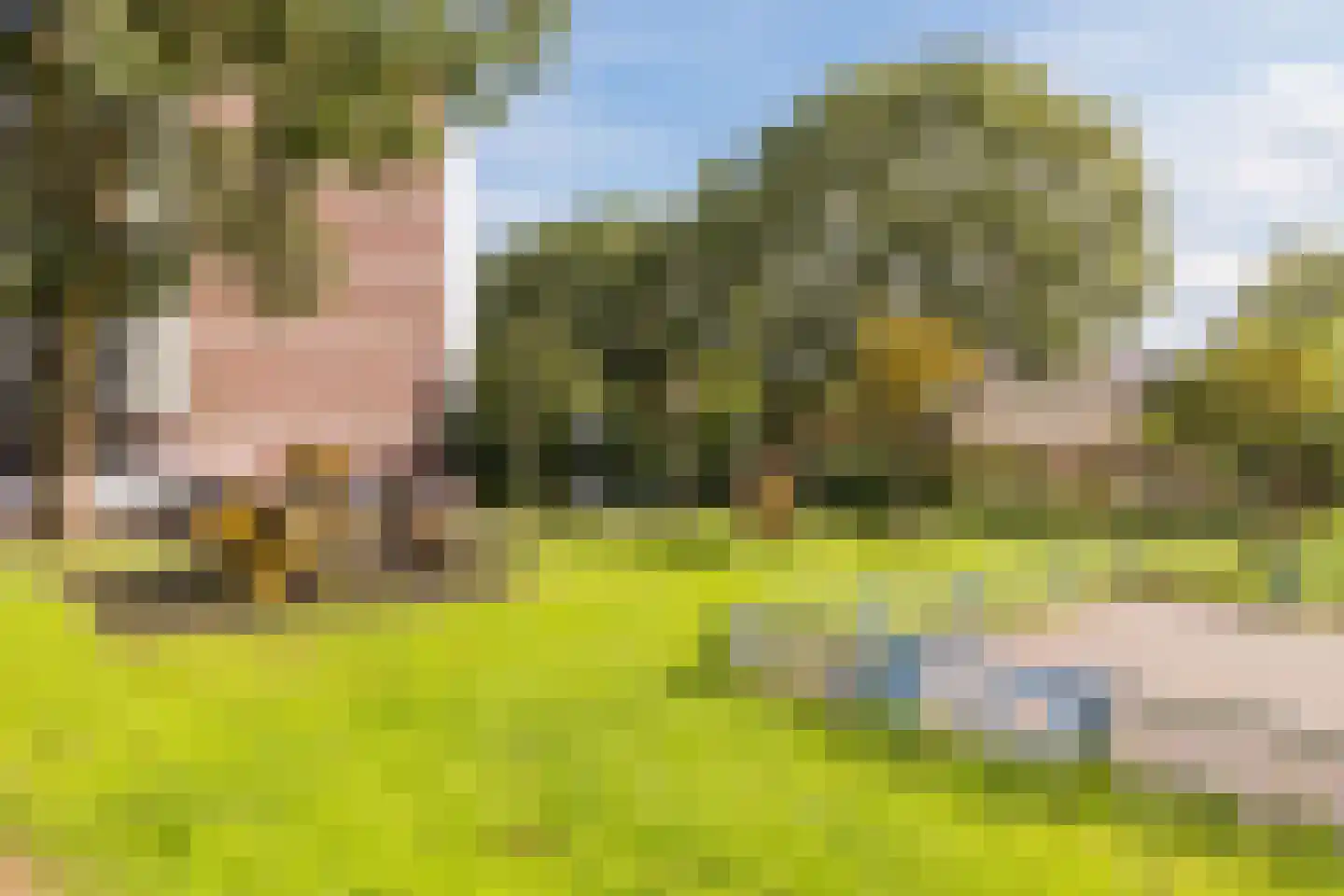 Noordeinde 193 Boskoop thumbnail 37