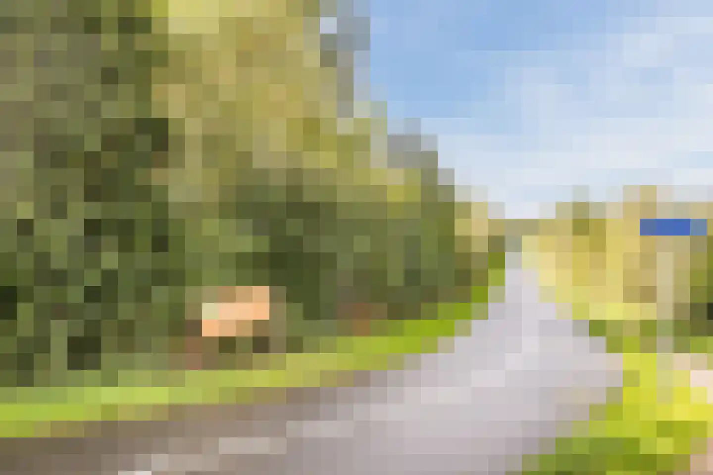 Noordeinde 193 Boskoop thumbnail 38