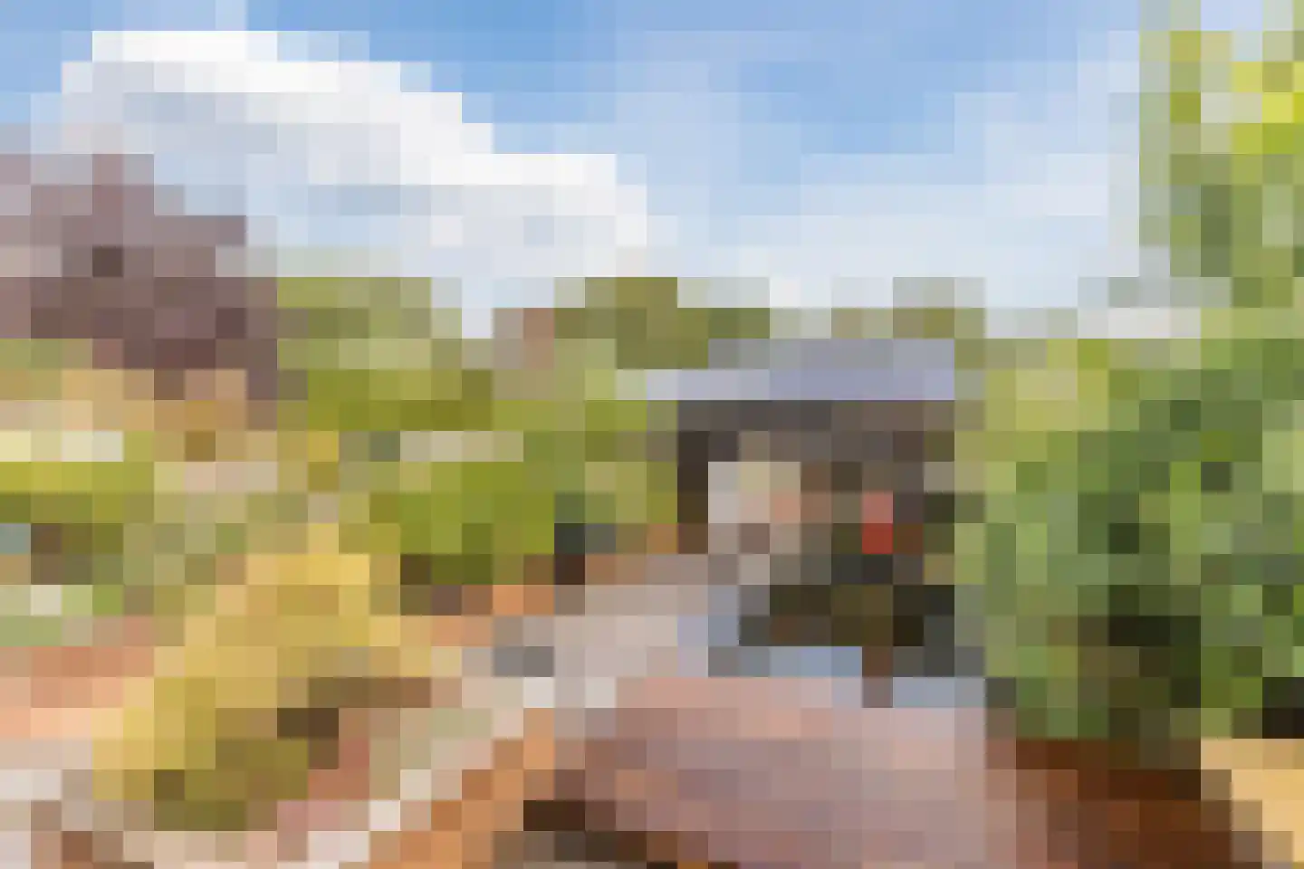 Noordeinde 193 Boskoop thumbnail 4