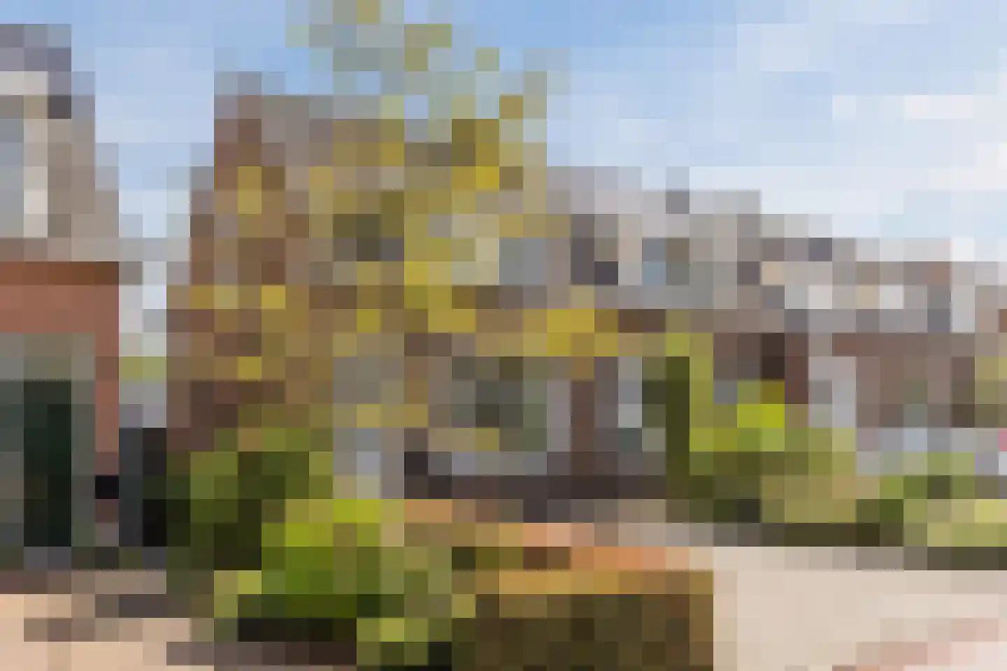 Noordeinde 193 Boskoop thumbnail 5
