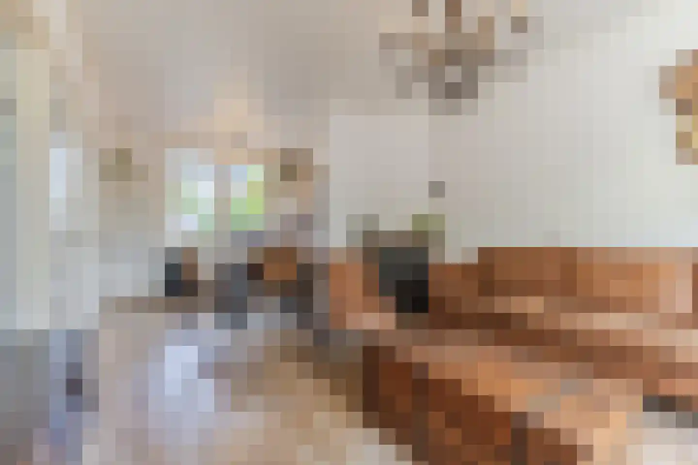 Noordeinde 193 Boskoop thumbnail 8