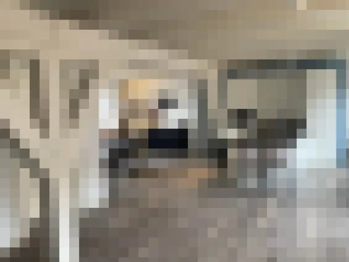 Noordeinde 2 L in Leiden