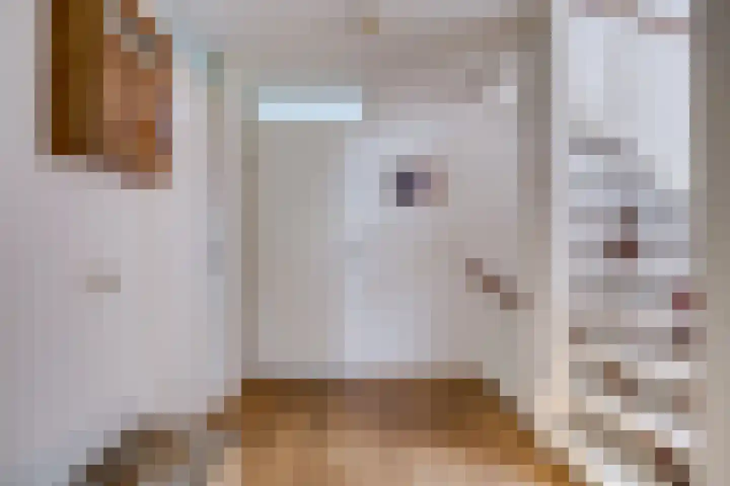Noordeinde 2 Maartensdijk thumbnail 20