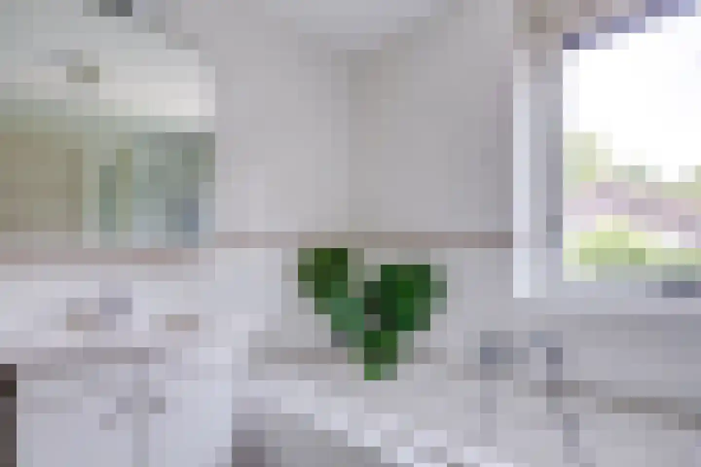 Noordeinde 2 Maartensdijk thumbnail 24