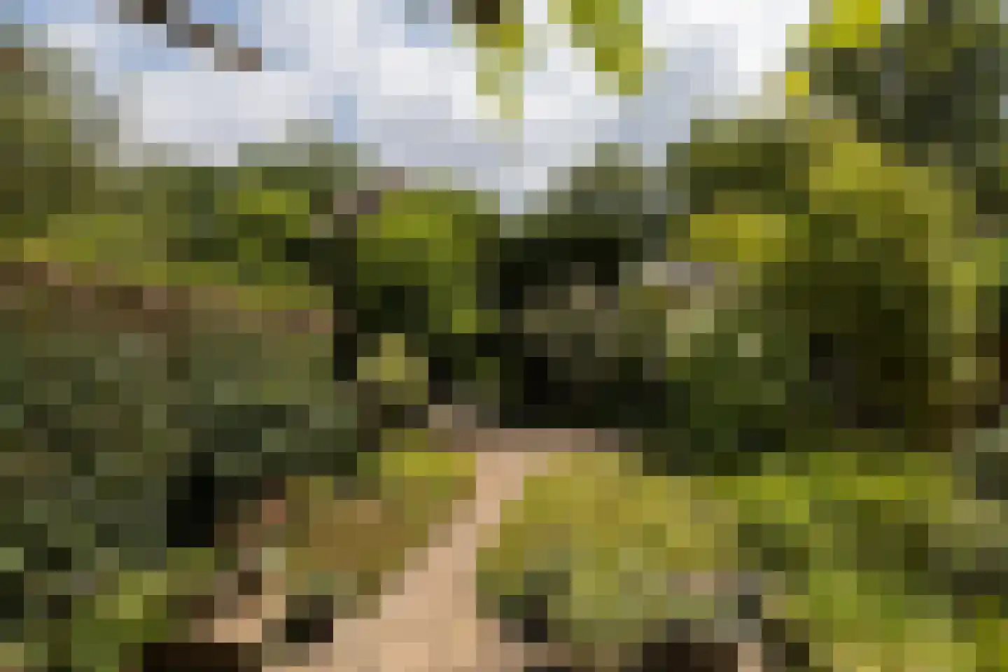 Noordeinde 2 Maartensdijk thumbnail 32