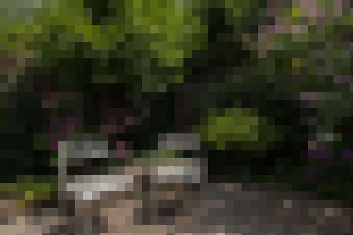 Noordeinde 2 Maartensdijk thumbnail 35