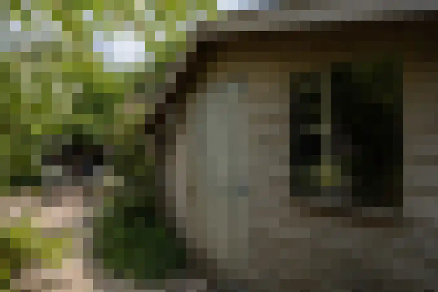 Noordeinde 2 Maartensdijk thumbnail 36