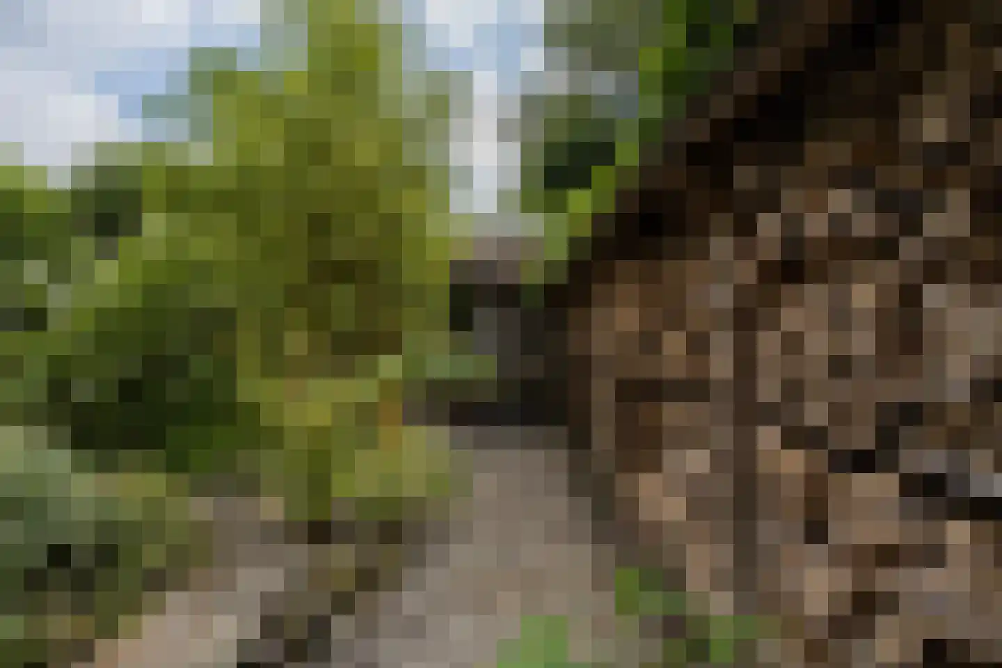 Noordeinde 2 Maartensdijk thumbnail 37