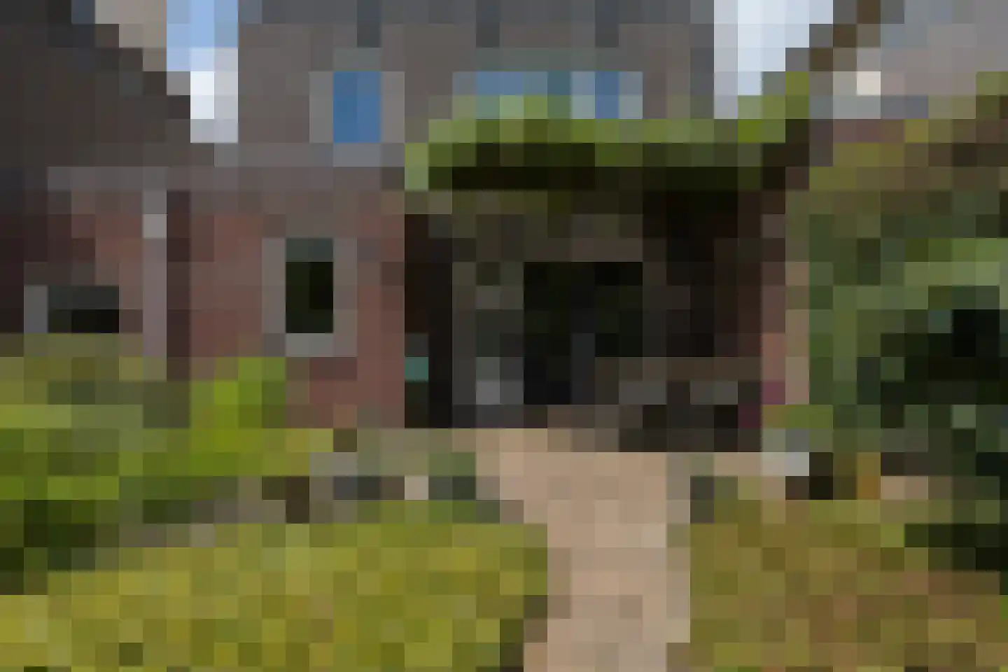 Noordeinde 2 Maartensdijk thumbnail 39