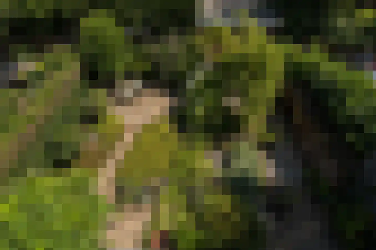 Noordeinde 2 Maartensdijk thumbnail 42