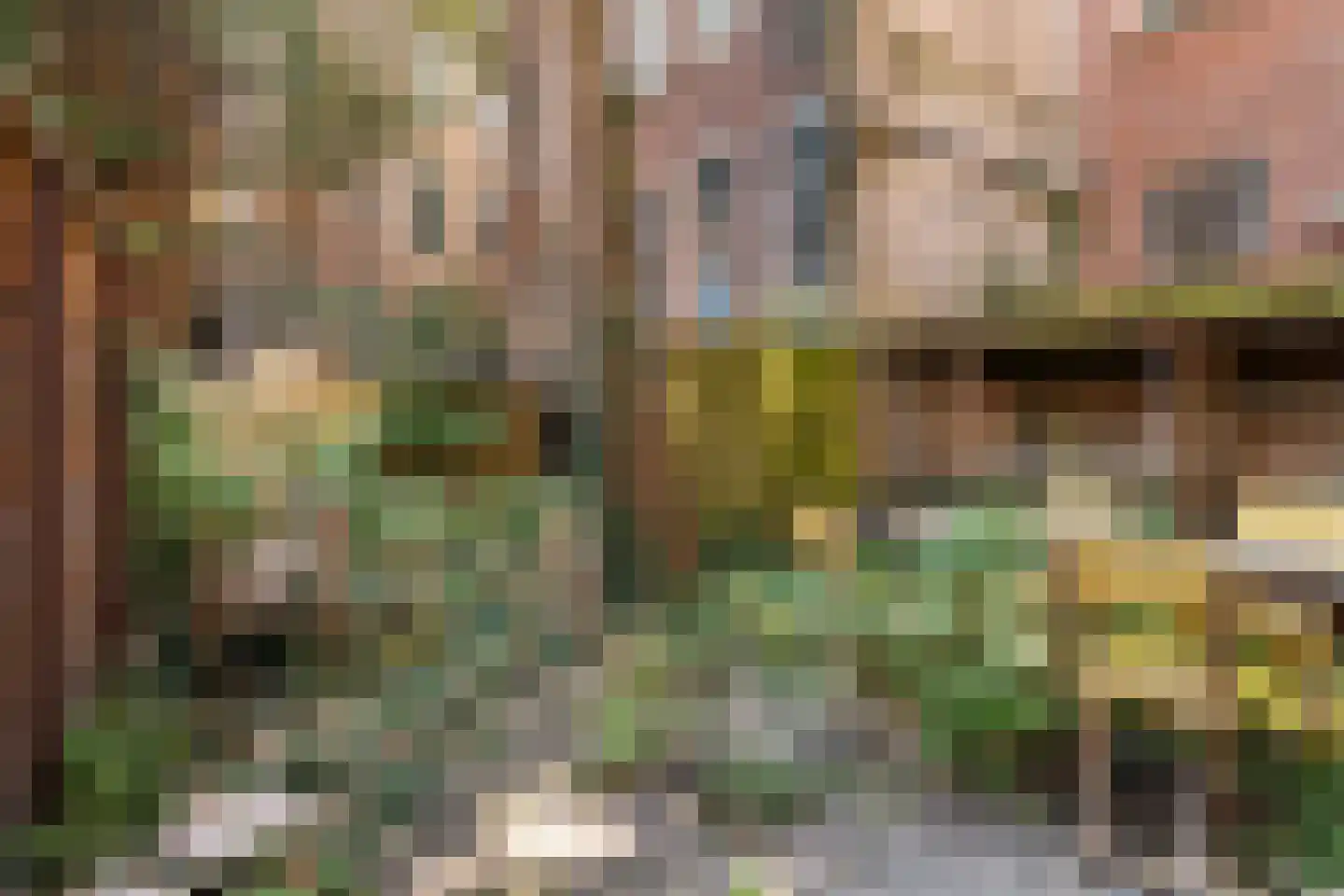 Noordeinde 20 A Rotterdam thumbnail 15