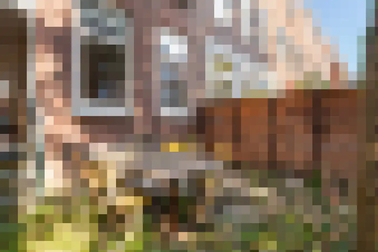 Noordeinde 20 A Rotterdam thumbnail 17